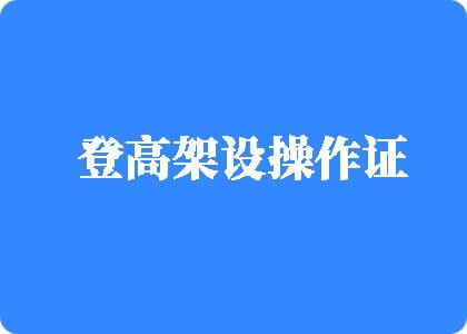 狠狠的干我的逼逼登高架设操作证